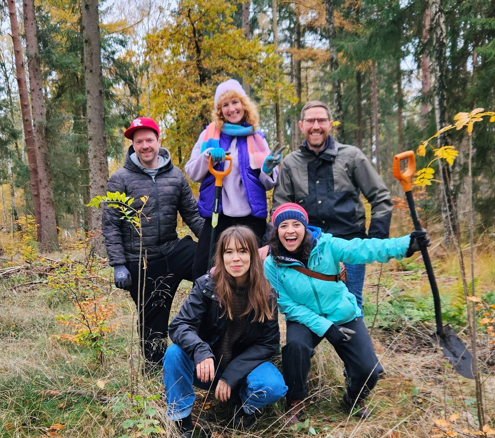 Bäumepflanzen für eine nachhaltige Zukunft