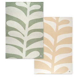 Kushel Leaf Duo Set
